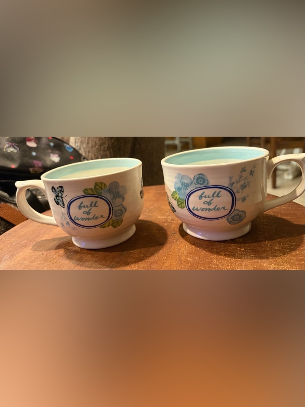 Anthropologie Blue and White 'Full of Wonder' Floral Mugs Molly Hatch
